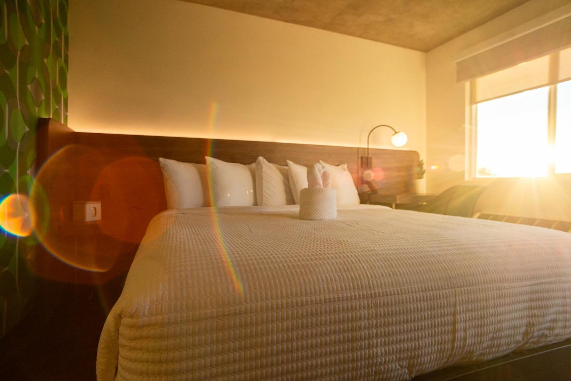 The Alice Hotel Tucson Zewnętrze zdjęcie